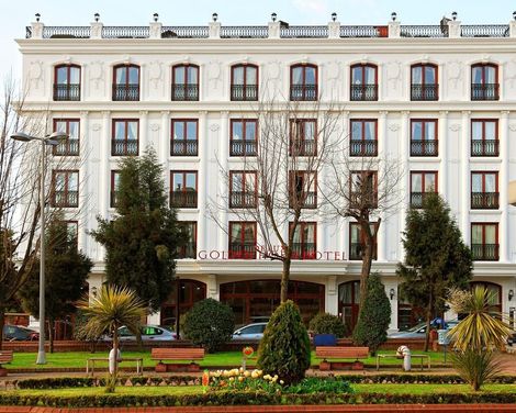 Deluxe Golden Horn-3