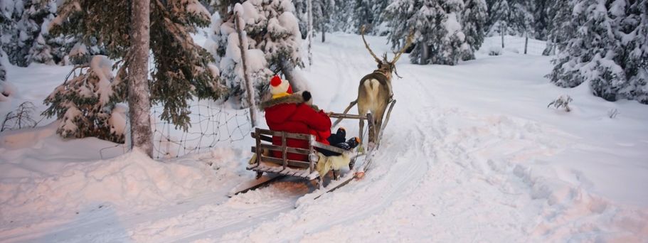 Rentierrennen in Ruka, Lappland, Finnland