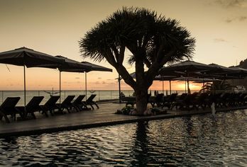 Hotel, Saccharum Resort