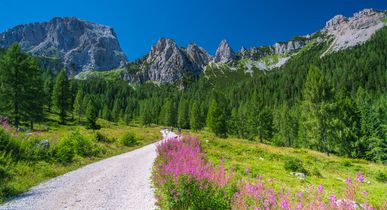 Wanderweg in den Alpengebirgen