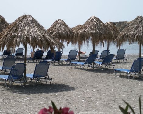 Avra Palm-1