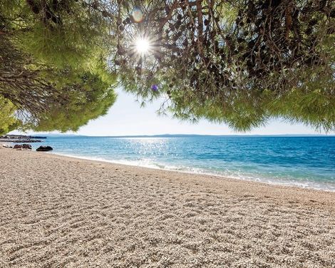 Bluesun Hotel Alga-0