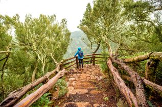 Wanderer steht an oben am Berg, umgeben von viel grüner Natur, Blickt weiter in Grüne. Herrlicher Ausblick