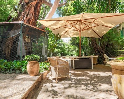 Le Windsor, Jungle Art Hotel-4