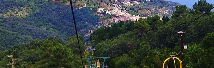 Eine Seilbahn fährt über eine grüne Landschaft.