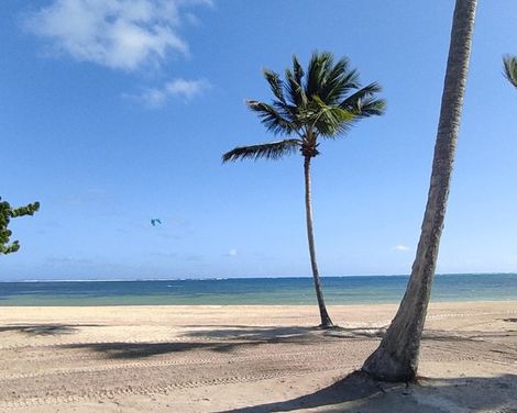 Serenade Punta Cana Beach & Spa Resort-2