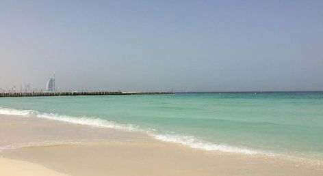 Signature 1 Hotel Barsha Heights - TECOM