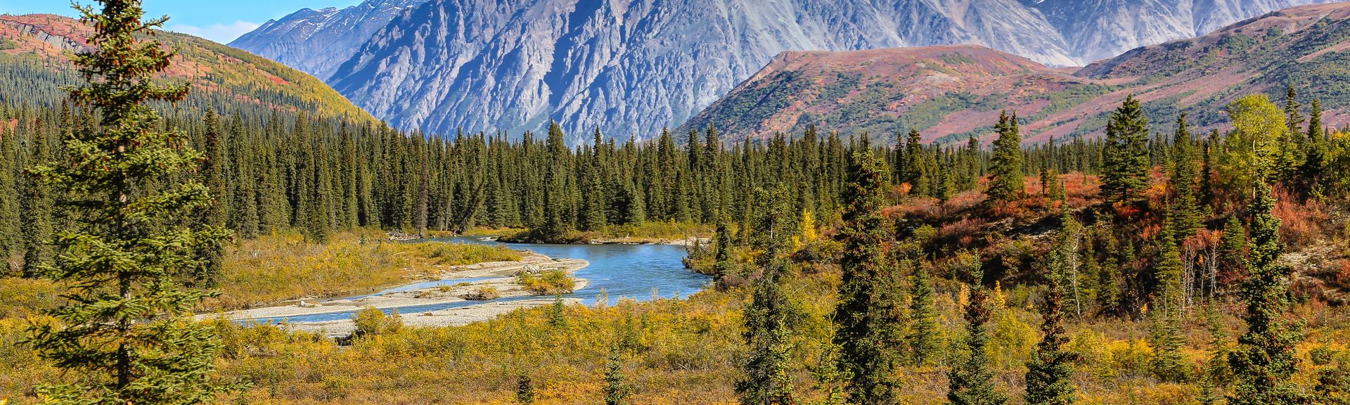 Landschaft mit grünen Wiesen hellblauem Fluss und Bäumen  in Alaska mit verschneiten Bergen im Hintergrund 