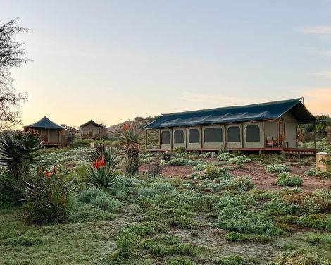 Buffelsdrift Game Lodge-4