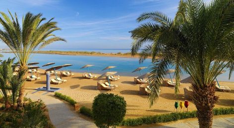 Sheraton Miramar Resort El Gouna