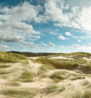 Ein Strand mit Dünen und blauem Himmel.
