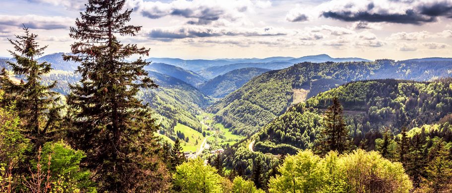 Urlaub im deutschen Mittelgebirge Schwarzwald Feldberg und Umgebung