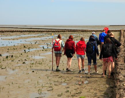 Urlauber, welche eine Wattwanderung machen. Blauer Himmel.