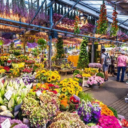 Bunte Angebote auf dem schwimmenden Bloemenmarkt am Singel Kanal