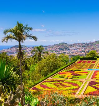 Blick über den farbenprächtigen botanischen Garten auf Funchal, Madeira