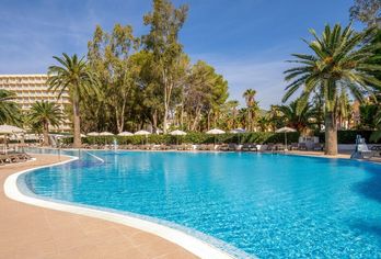 Hotel, SOL Palmanova - Mallorca