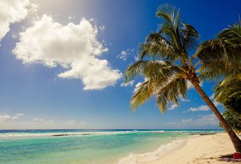 Sugar Bay Barbados