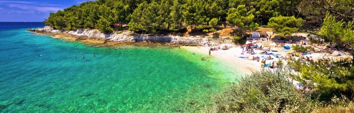 Ein Sandstrand mit türkisblauem Wasser und grüner Vegetation.