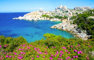 Bucht mit Blumen und Wäldern