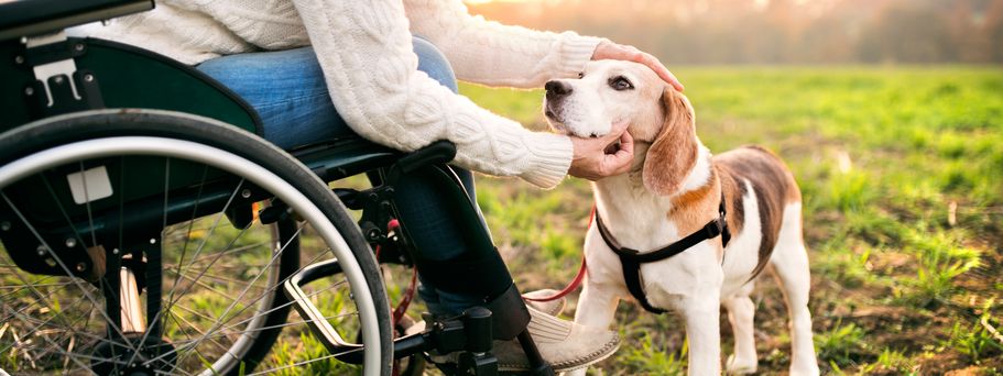 Rollstuhlfahrer mit Hund