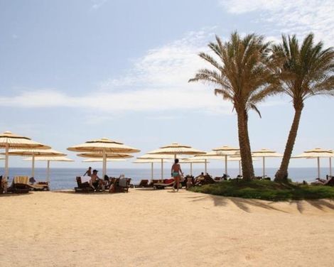 JAZ Neo Reef Marsa-4