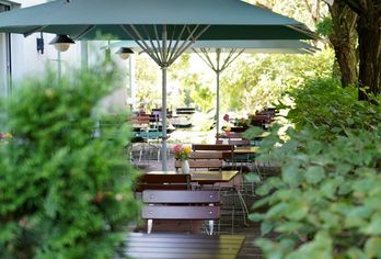 Hotel, greet Hotel Potsdam am Park Sanssouci