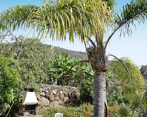 Las Casitas de Tijarafe-2