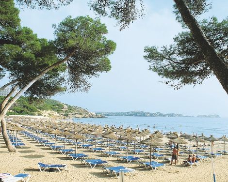 Hotel Morlans Garden-0