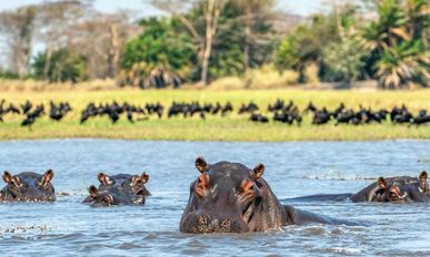 Botswana intensiv erleben
