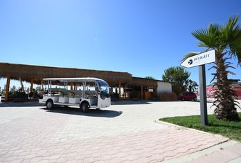 Hotel, Delight Hotel & SPA