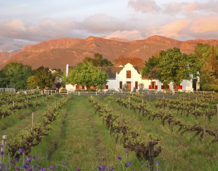 Typische Architektur vieler Weingüter in den Cape Winelands, hier in Franschhoek