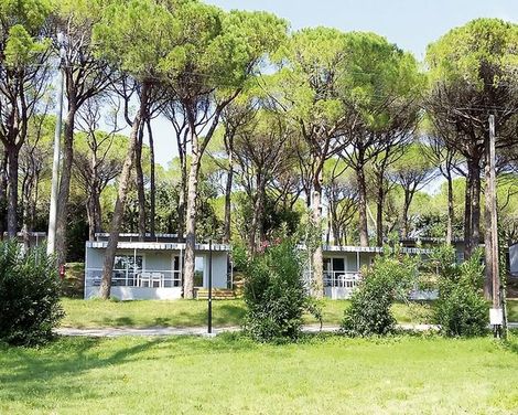 Belvedere Pineta Camping Village -4