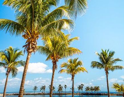 Miami Round Beach