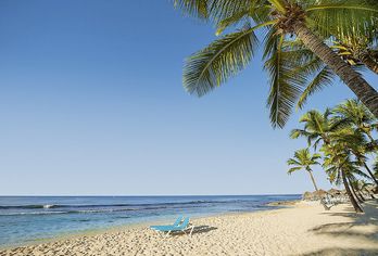 Viva Dominicus Beach by Wyndham