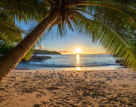 Seychellen. Blick durch einen Palmenbogen, inmitten die untergehende Sonne  und das türkisfarbene Meer. 