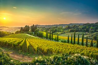 Toskana Italien 