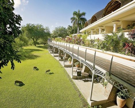 Ilala Lodge Hotel-0