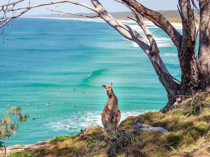 Australien, Blick über die Landschaft auf das Meer