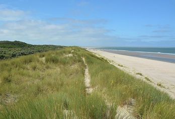 Hotel, Fletcher Strandhotel Renesse