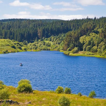 Ein Fluss, der sich durch eine grüne Landschaft schlängelt.