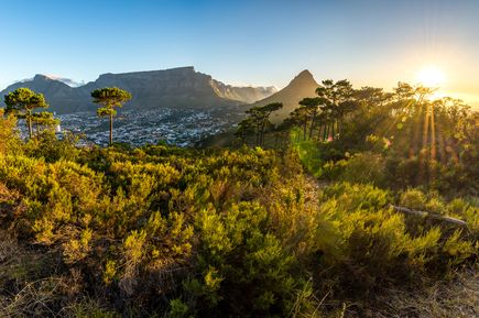 Tafelberg