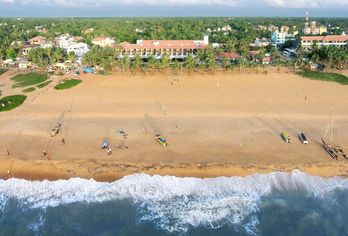 Goldi Sands