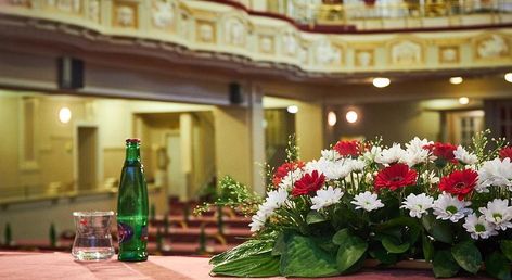 Hotel Ambassador Zlatá Husa