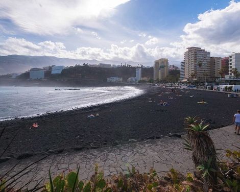 Checkin Concordia Playa-0