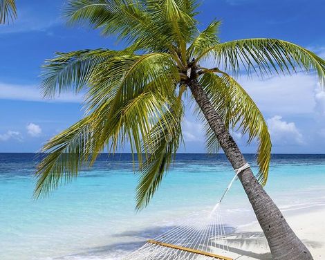 ADAC Special: Westkanada-1