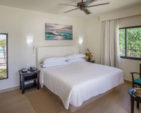 Hotel Allegro Playacar-4