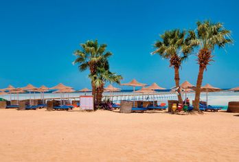 Hotel, Blue Reef Resort