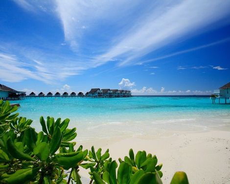 Machchafushi Island Resort & Spa Maldives, The Centara Collection-3