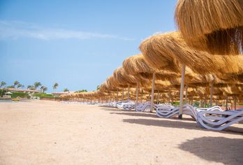 Hotel, Rewaya Majestic Resort