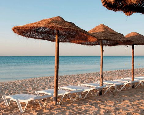 Sentido Phenicia-3